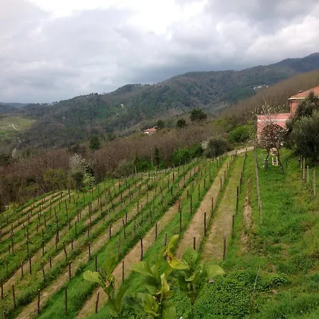 Agriturismo Cerrolungo Farm stay