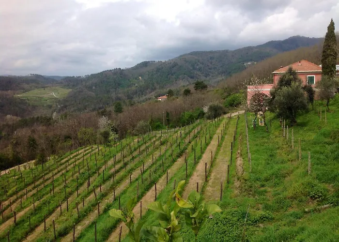 Agriturismo Cerrolungo Farma